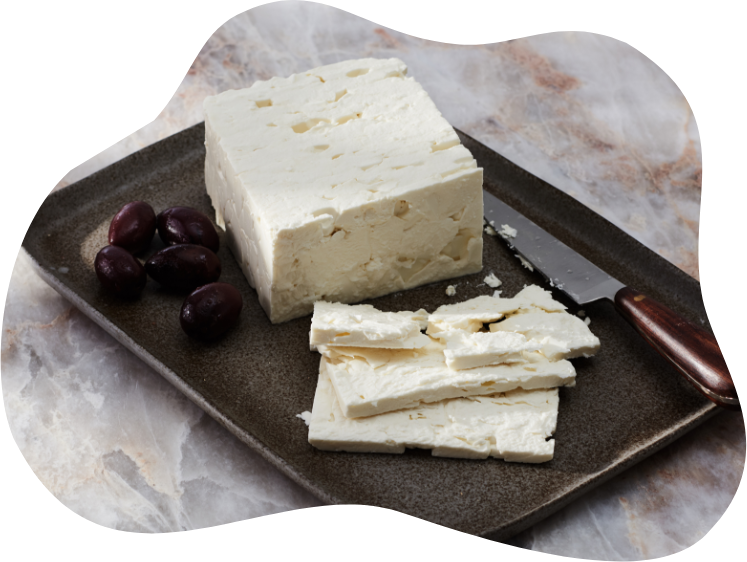 Bulk Cheese Products, Foodservice Supplier